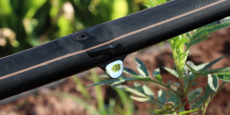 Innovación desarrollada por productores, para productores